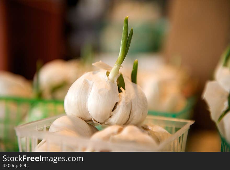 Fresh Garlic for sale in a basket on a open air market stall