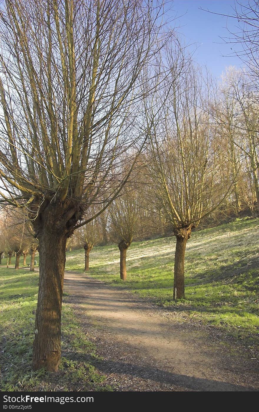 Recreation park in Rijswijk, Holland, in spring. Recreation park in Rijswijk, Holland, in spring