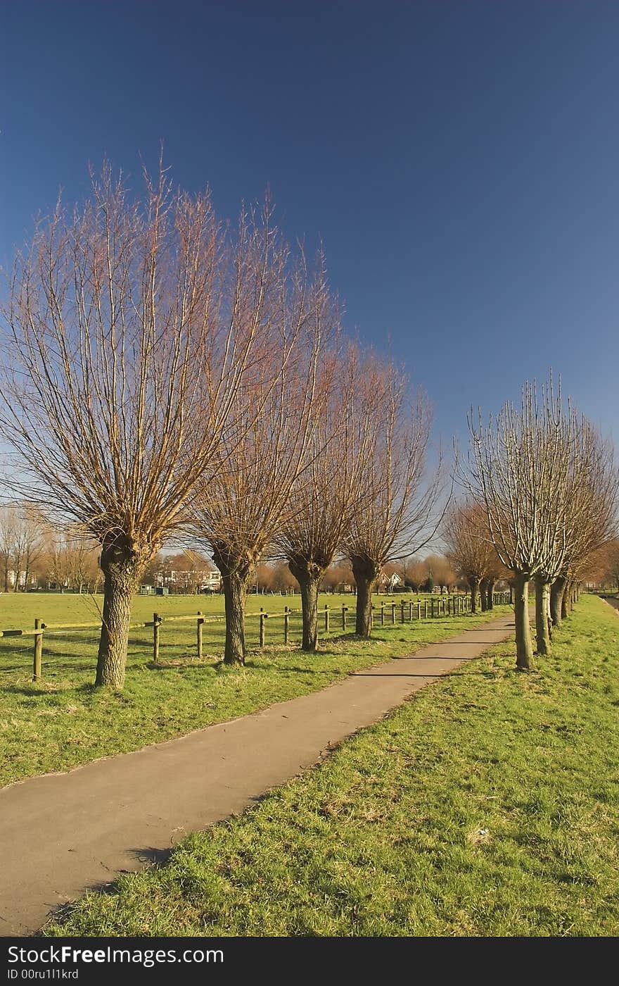 Recreation park in Rijswijk, Holland, in spring. Recreation park in Rijswijk, Holland, in spring