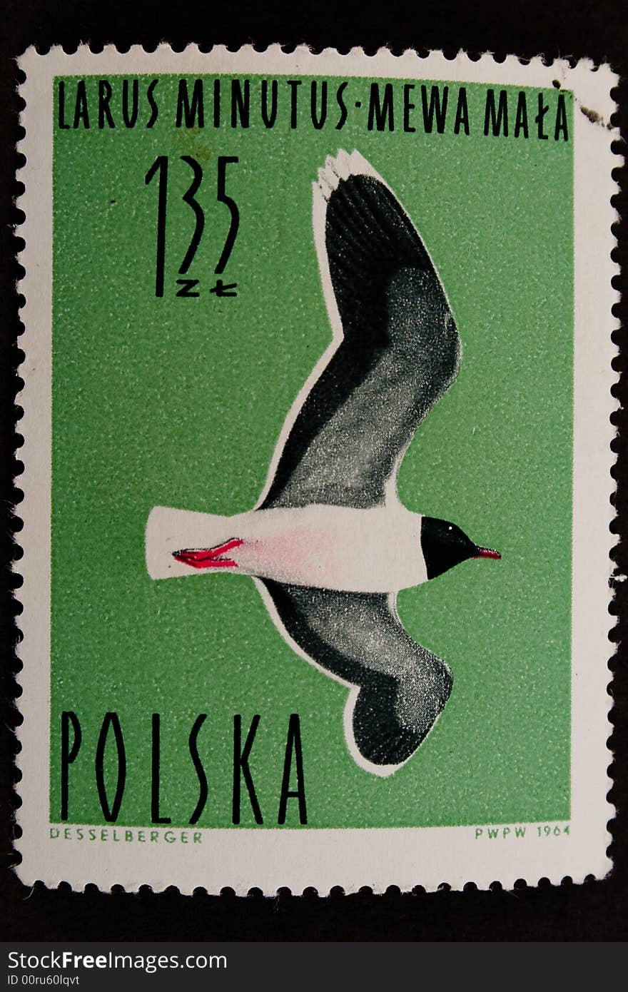 Used Old Stamp With Bird