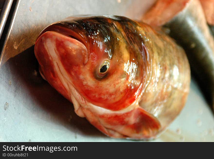 Half of a fish lying in a fish mungers in koi samui, Thailand.