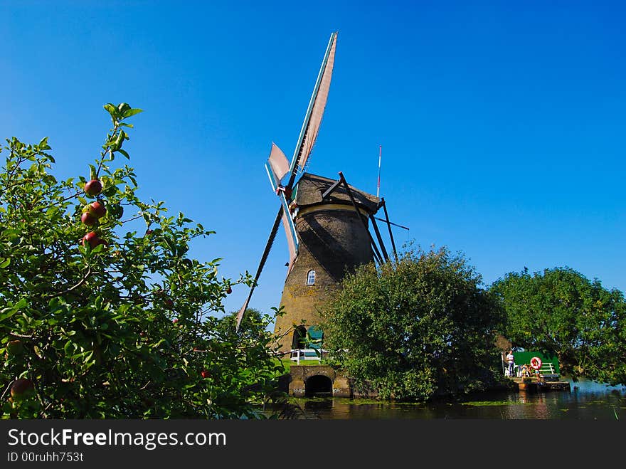 Dutch mill on the waterside with an appletree