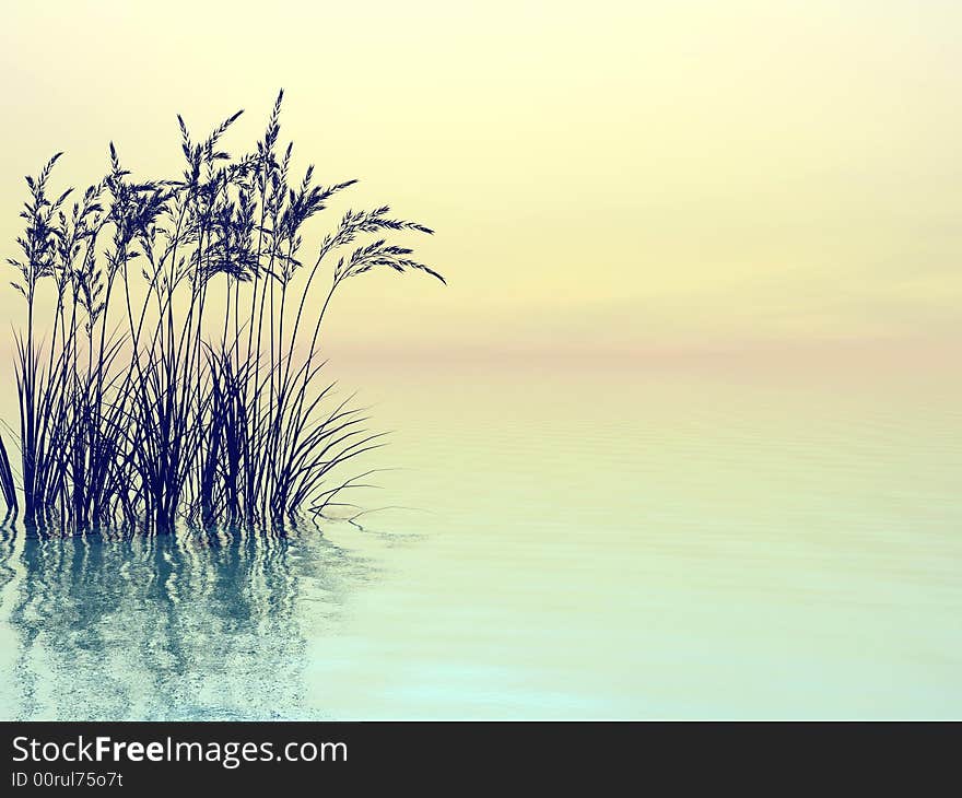 Water plants on a sea sunset  background  -  3D scene. Water plants on a sea sunset  background  -  3D scene.