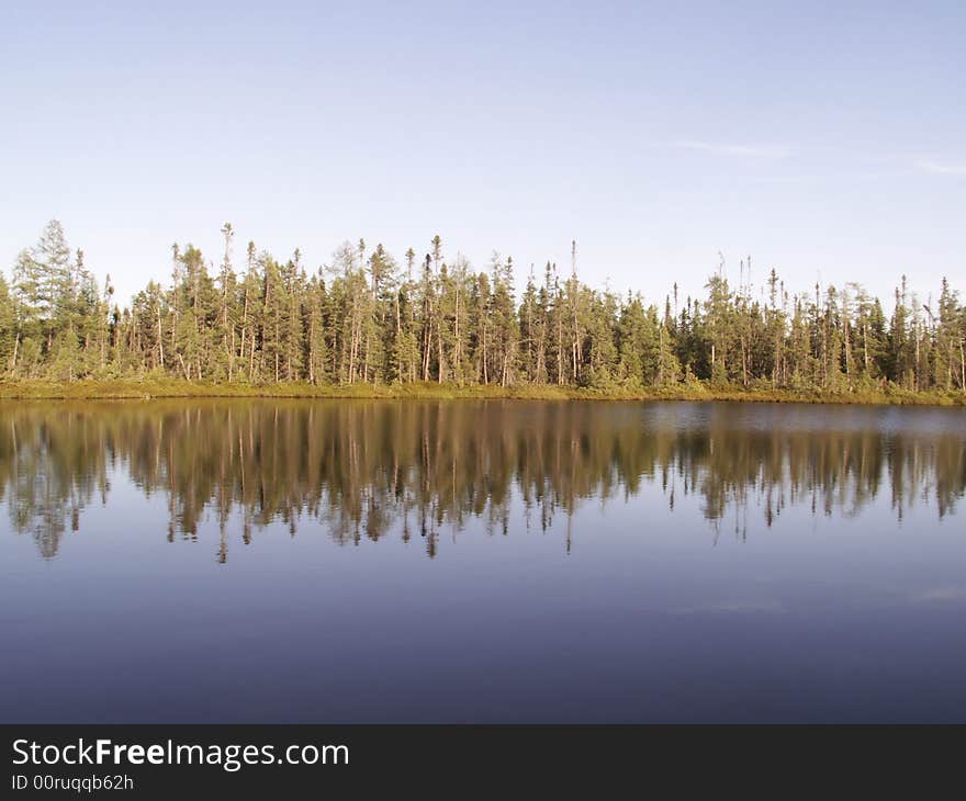 Forest Pond