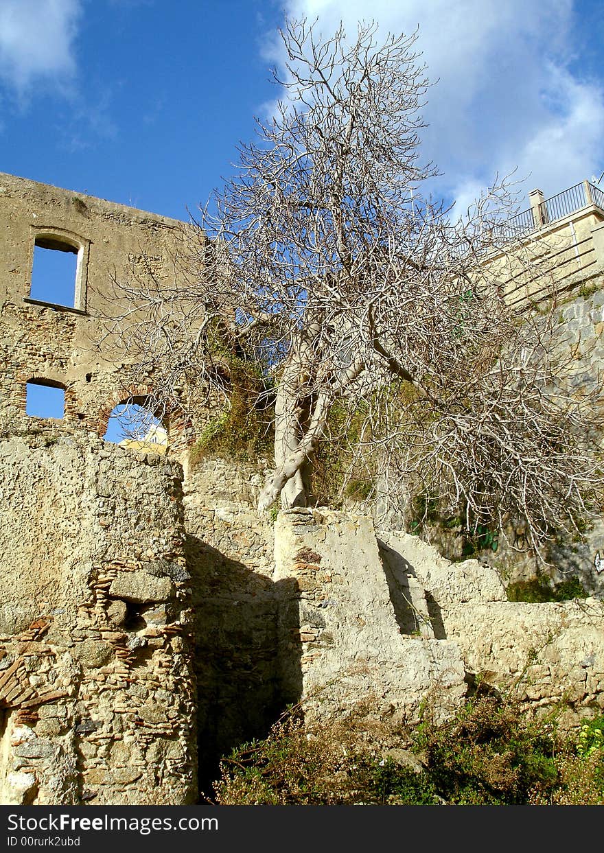 View of a old house  and winter tree. View of a old house  and winter tree