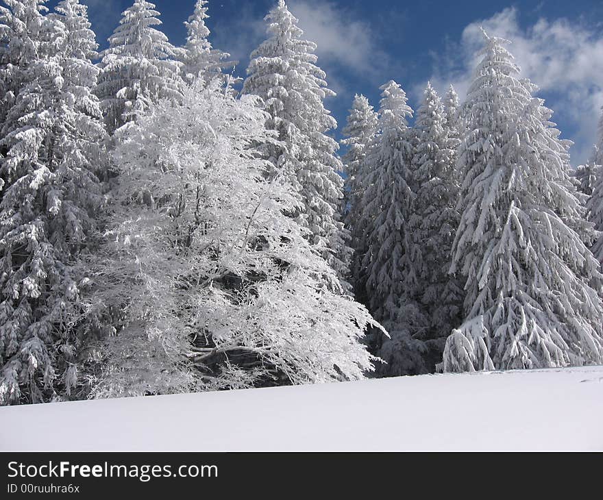 Bucegi Mountains  - Winter