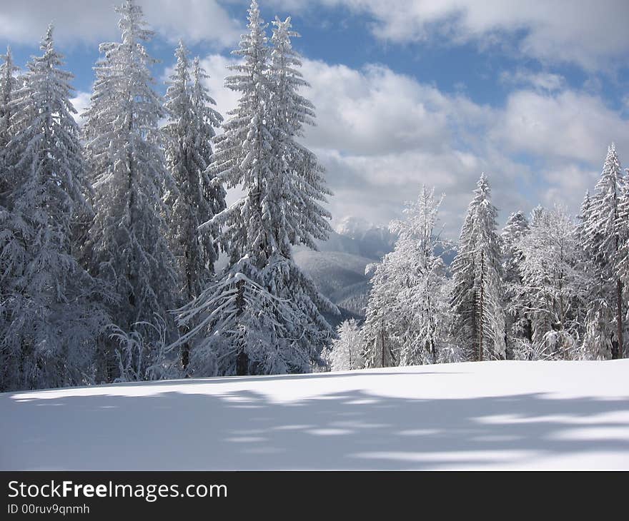 A trip on the romanian mountains. A trip on the romanian mountains