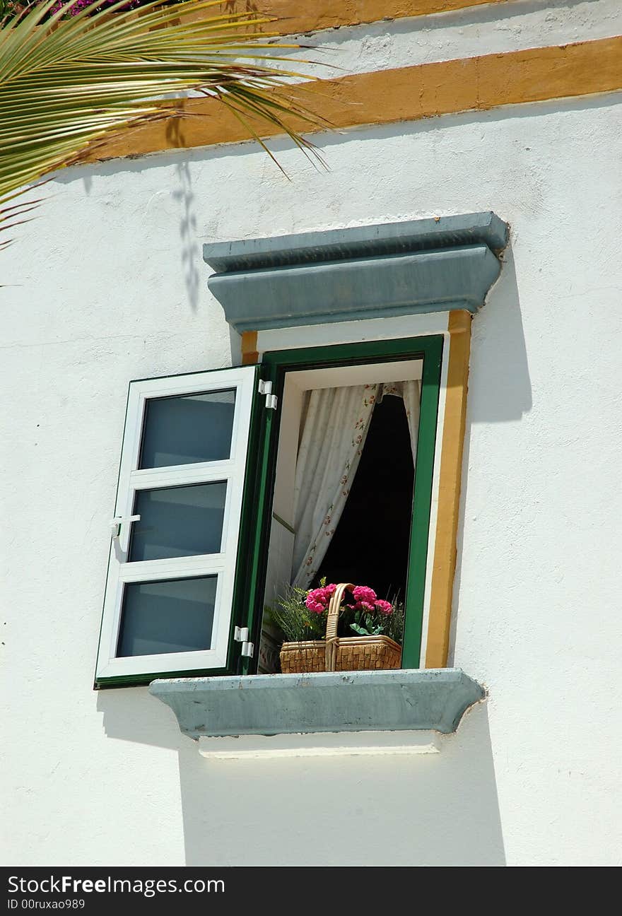 Flowers on a window sill in sunny Grand Canaria. Flowers on a window sill in sunny Grand Canaria