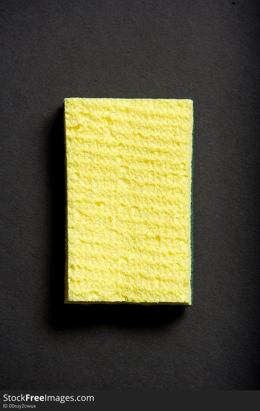 Sponge