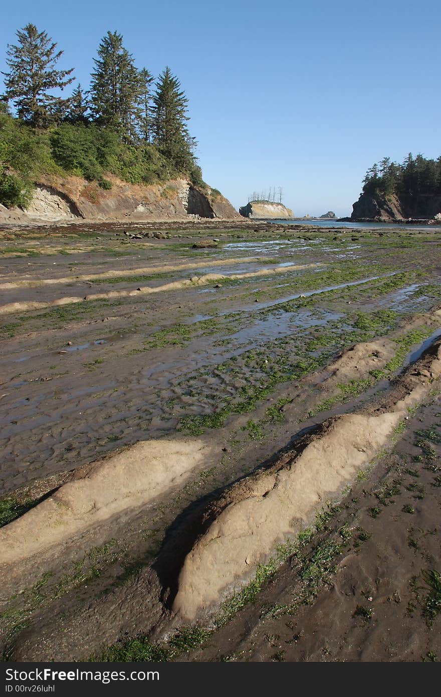 Sunset Bay at low tide - Sunset Bay State Park