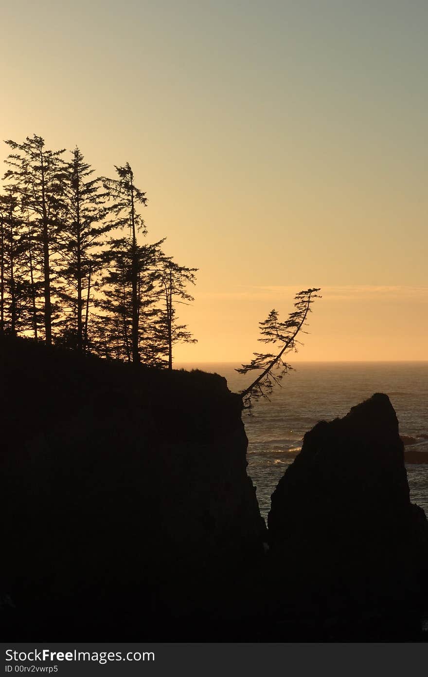 Silhouette of rocks and trees at sunset - Sunset Bay State Park. Silhouette of rocks and trees at sunset - Sunset Bay State Park