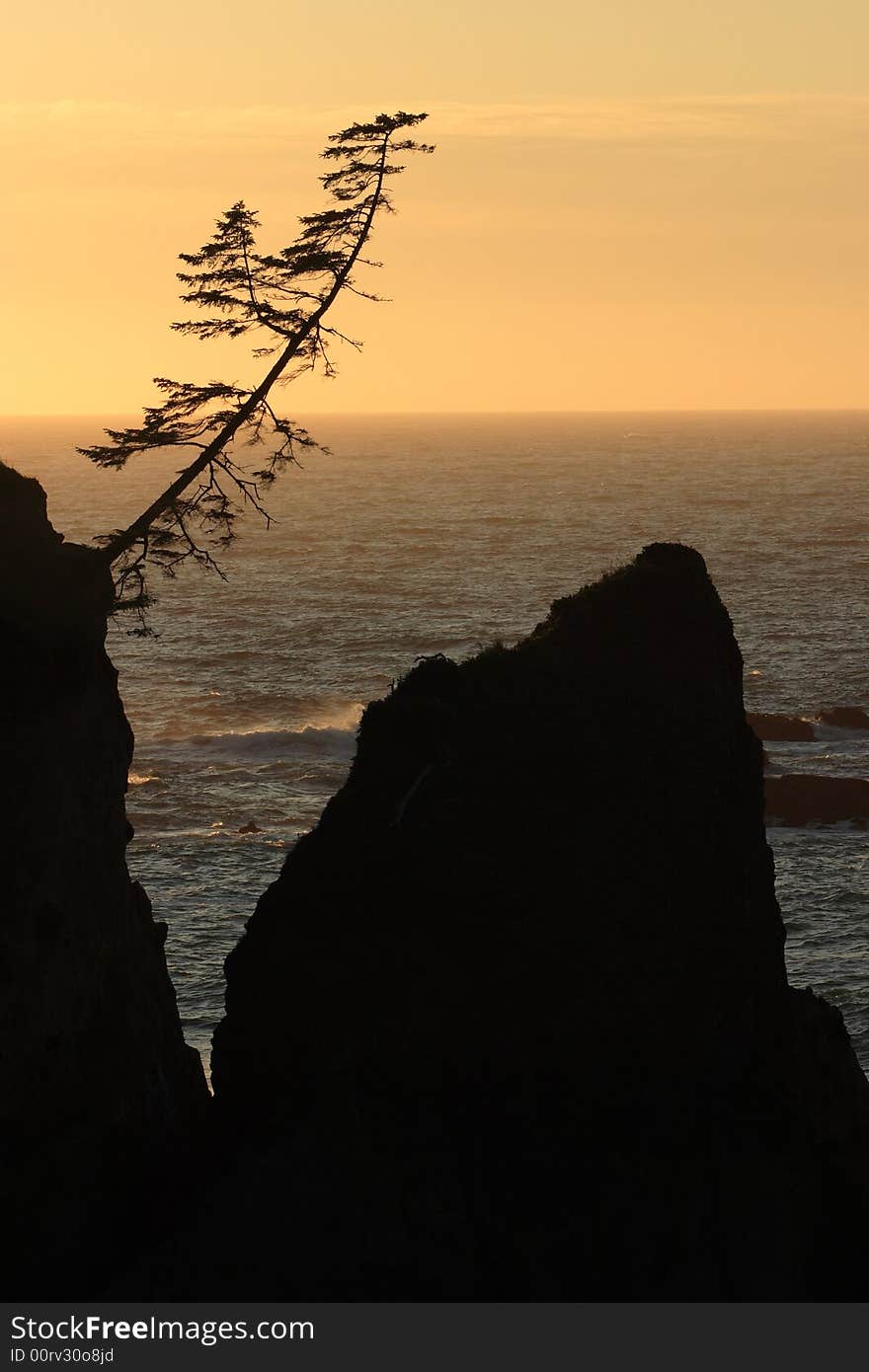 Silhouette of rocks and tree at sunset - Sunset Bay State Park. Silhouette of rocks and tree at sunset - Sunset Bay State Park