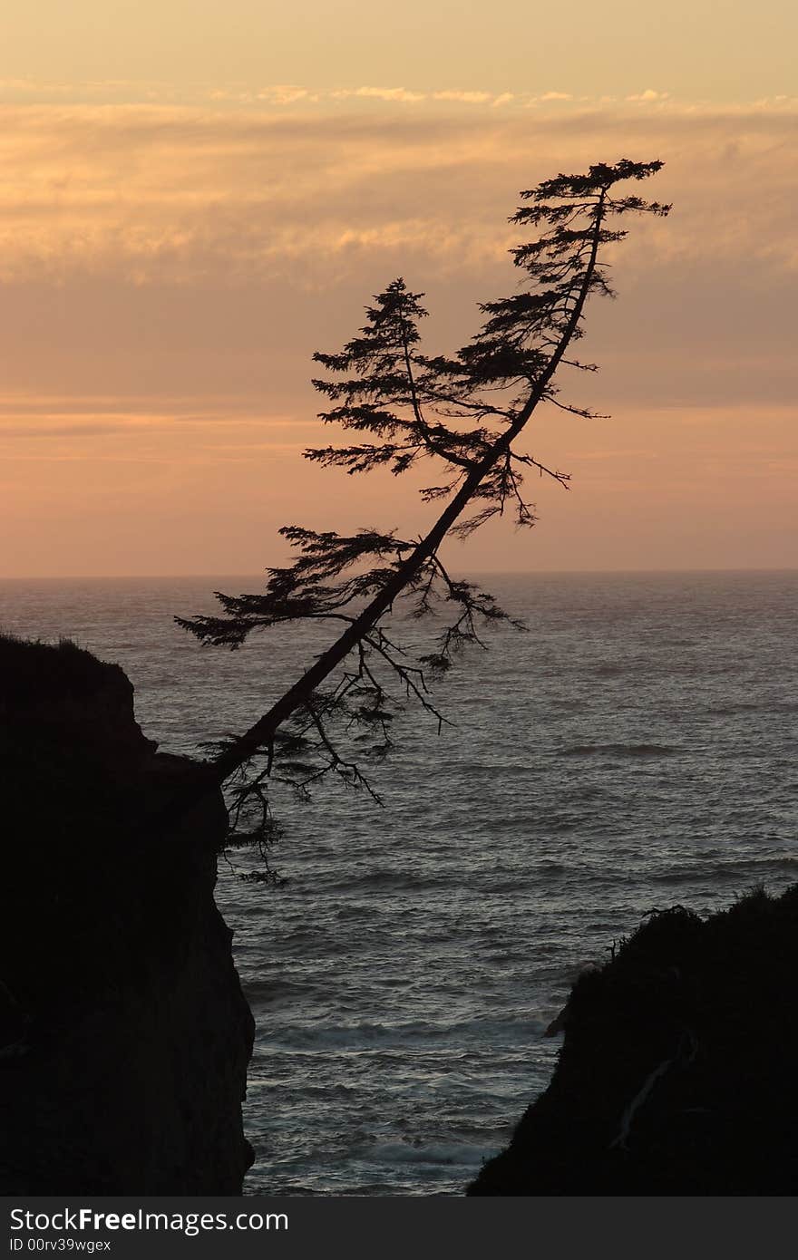 Silhouette of rocks and tree at sunset - Sunset Bay State Park. Silhouette of rocks and tree at sunset - Sunset Bay State Park