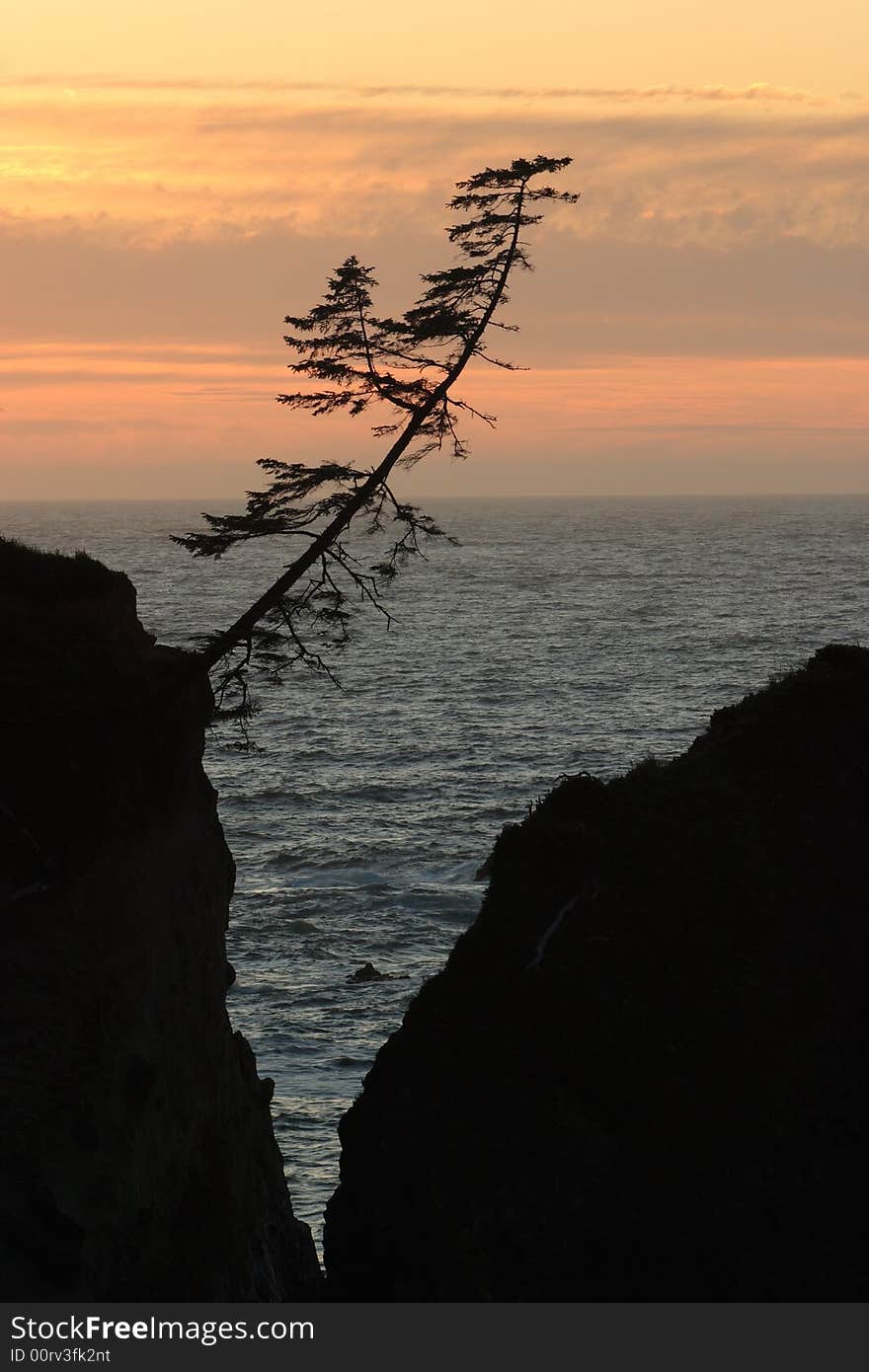Silhouette of rocks and tree at sunset - Sunset Bay State Park. Silhouette of rocks and tree at sunset - Sunset Bay State Park