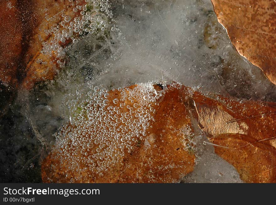 Abstraction of dead leaves and oxygenbubbles in ice.