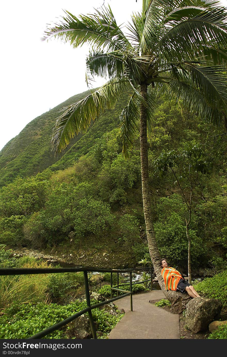 A man is having a nap under the palm tree