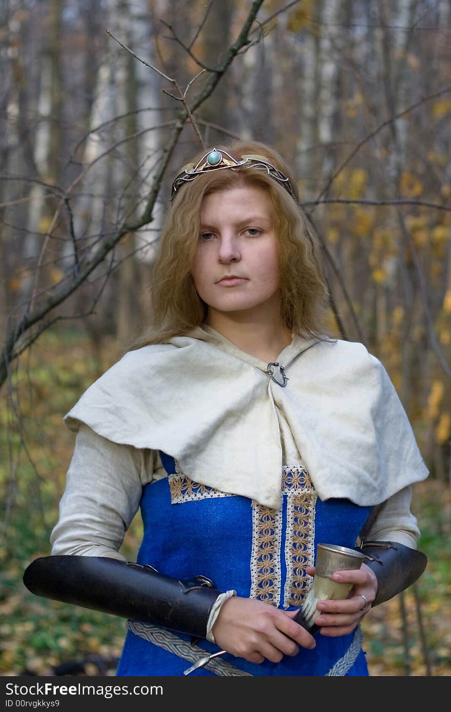 Portrait of the romantic girl in autumn forest. Portrait of the romantic girl in autumn forest