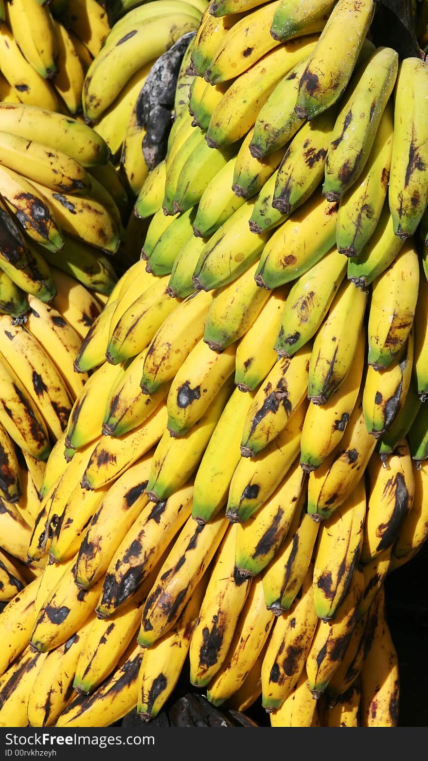 Ripe bananas at the source