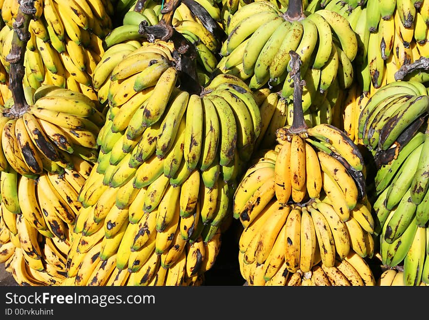 A large bunch of bananas. A large bunch of bananas