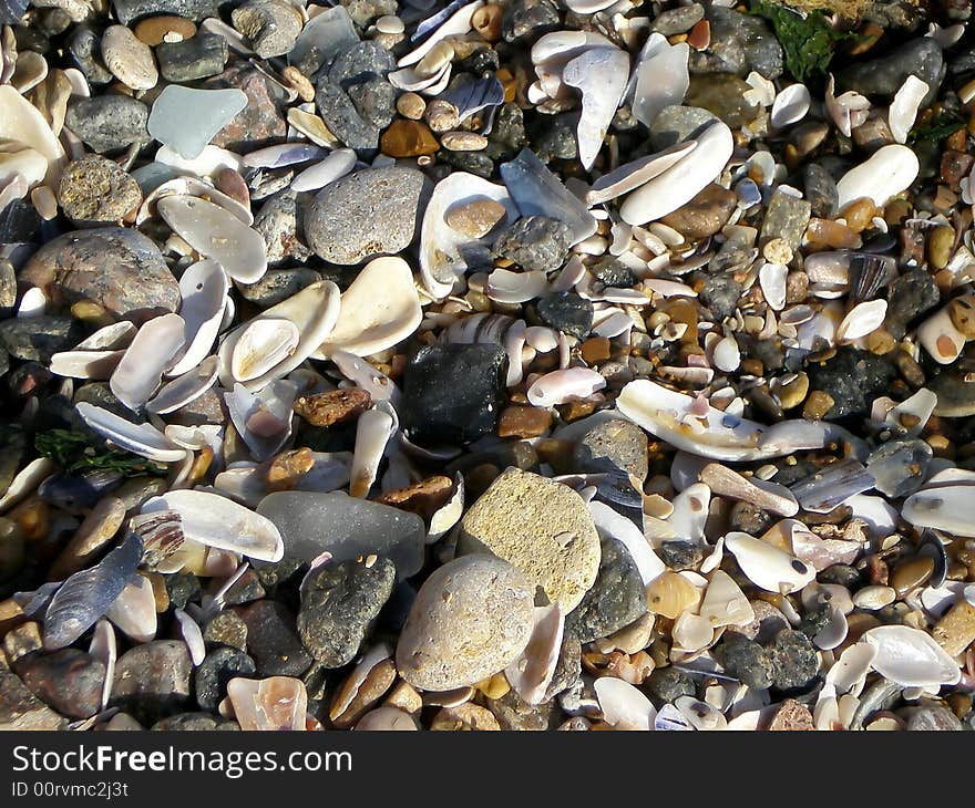 Mussels shore - much shels and rocks on the beach