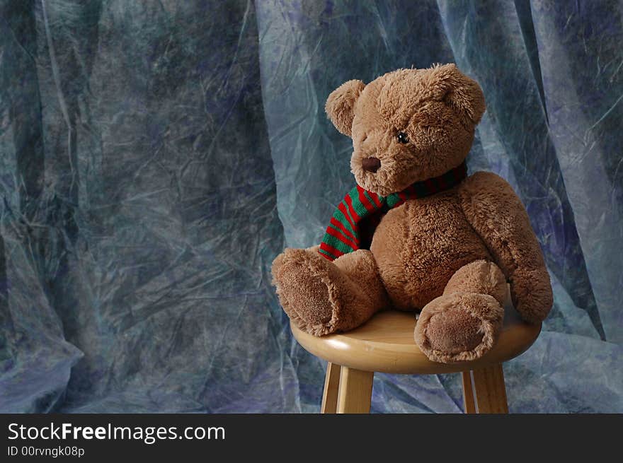 Studio Portrait of Teddy Bear