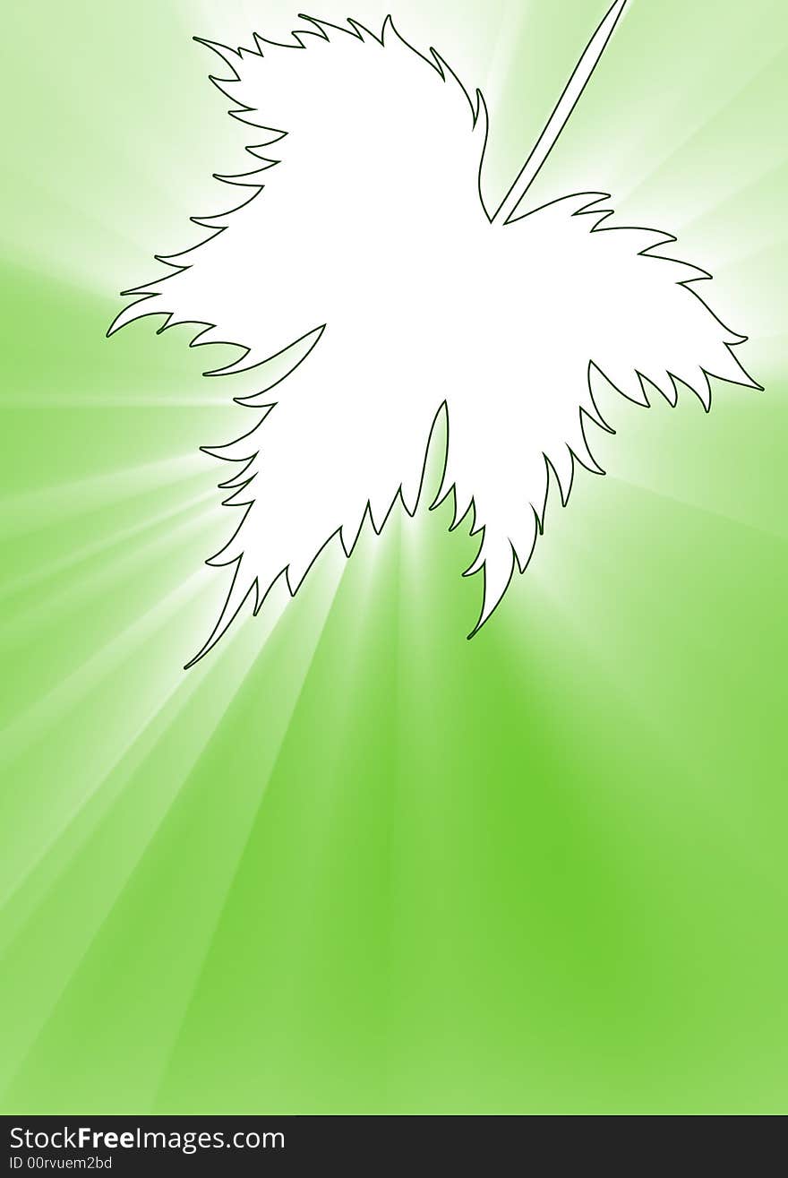 Grape leaf outline in green ray background