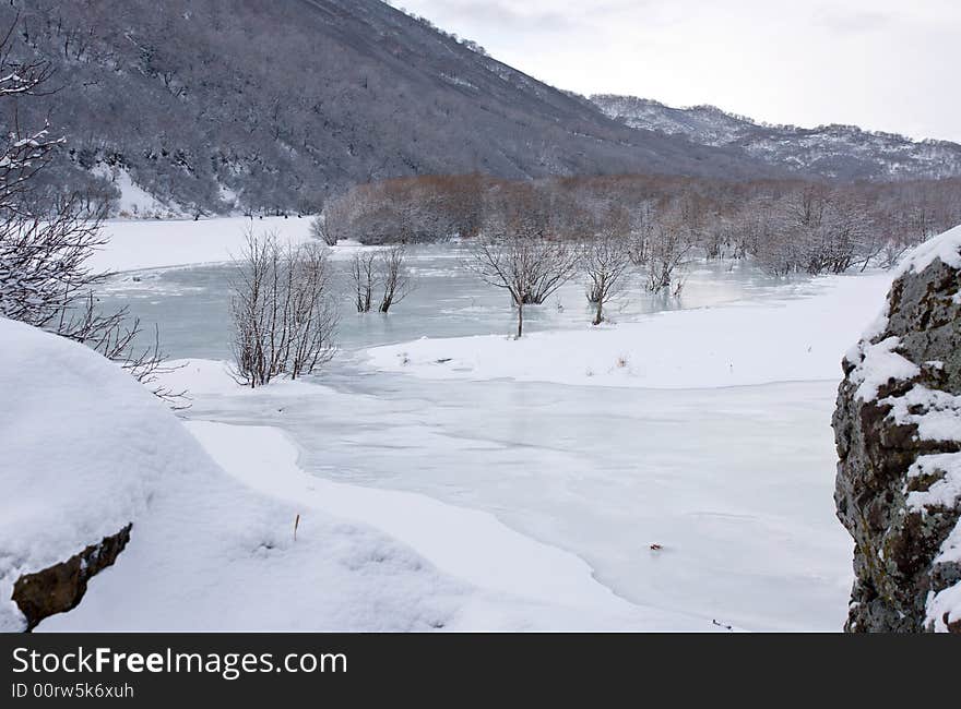 Tree cost under ice in river. Tree cost under ice in river