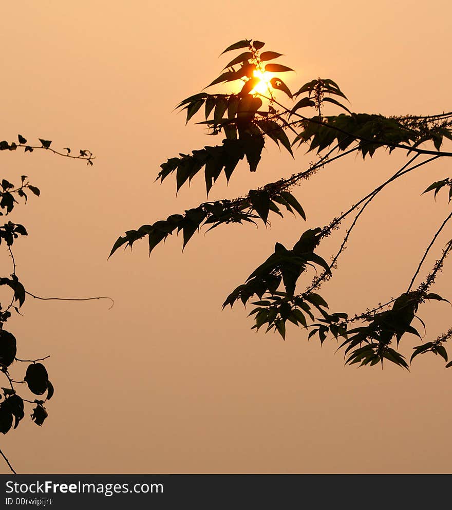 Dark silhouette with sunset at the back. Dark silhouette with sunset at the back