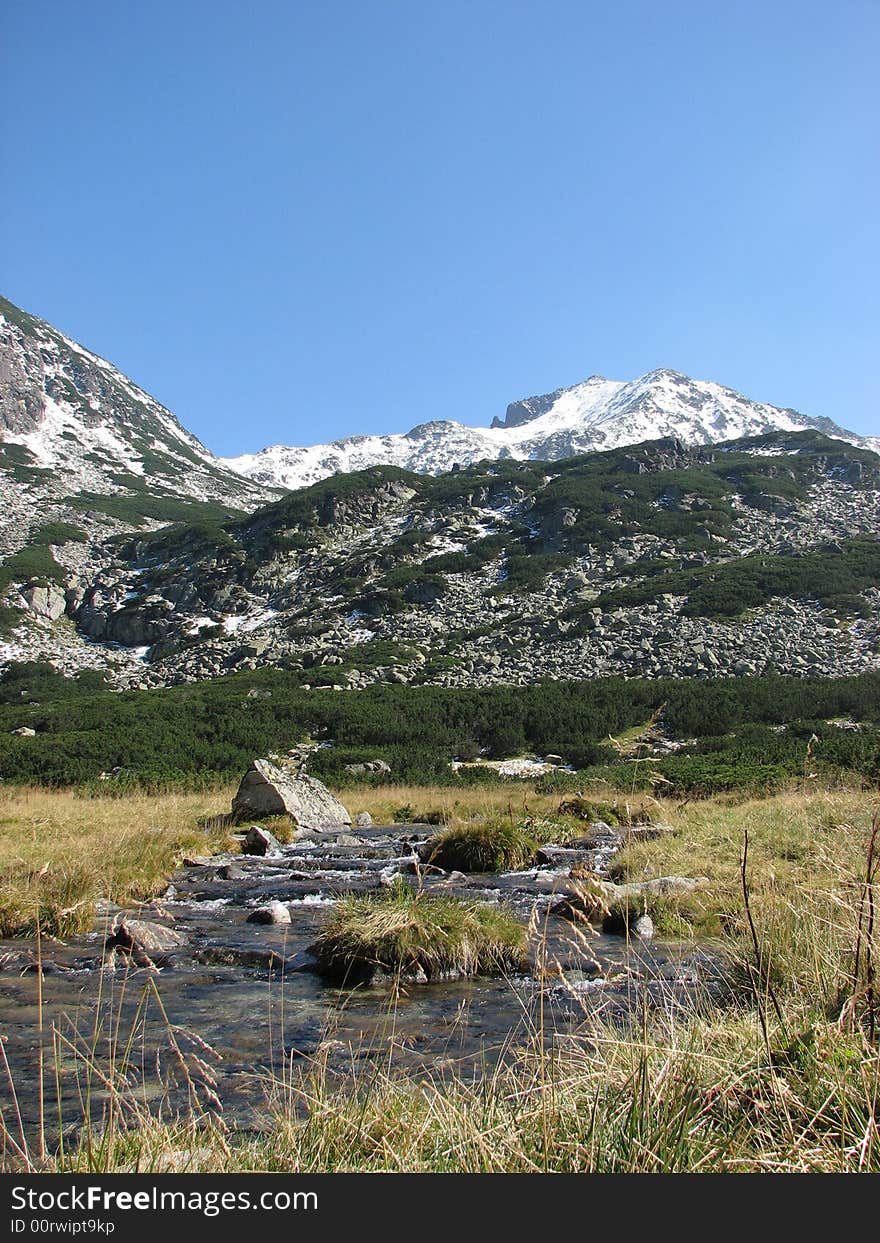 Mountain in the summer