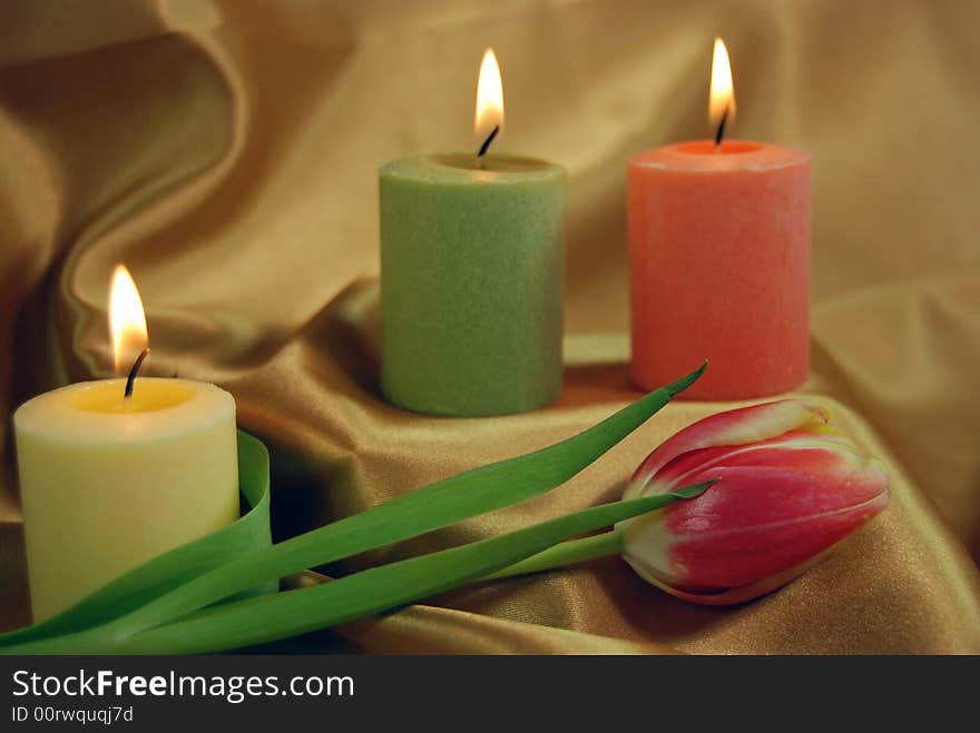 Single tulips and glowing candles on gold satin fabric. Single tulips and glowing candles on gold satin fabric.