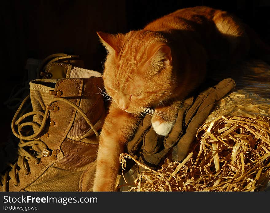 Ginger cat sitting on straw bale, gloves and boots. Ginger cat sitting on straw bale, gloves and boots.