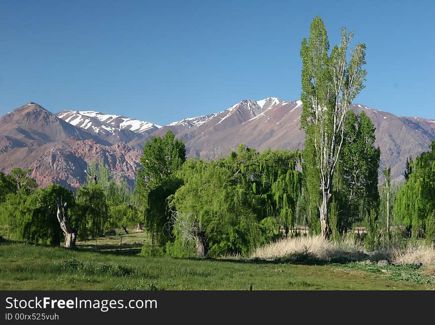 Beautiful Argentinian landscape in bright spring colors.