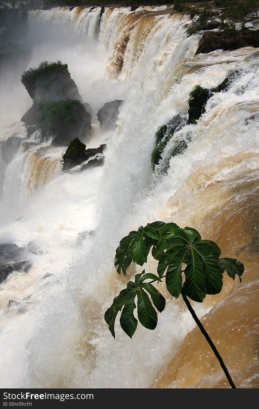 Iguazu waterfall