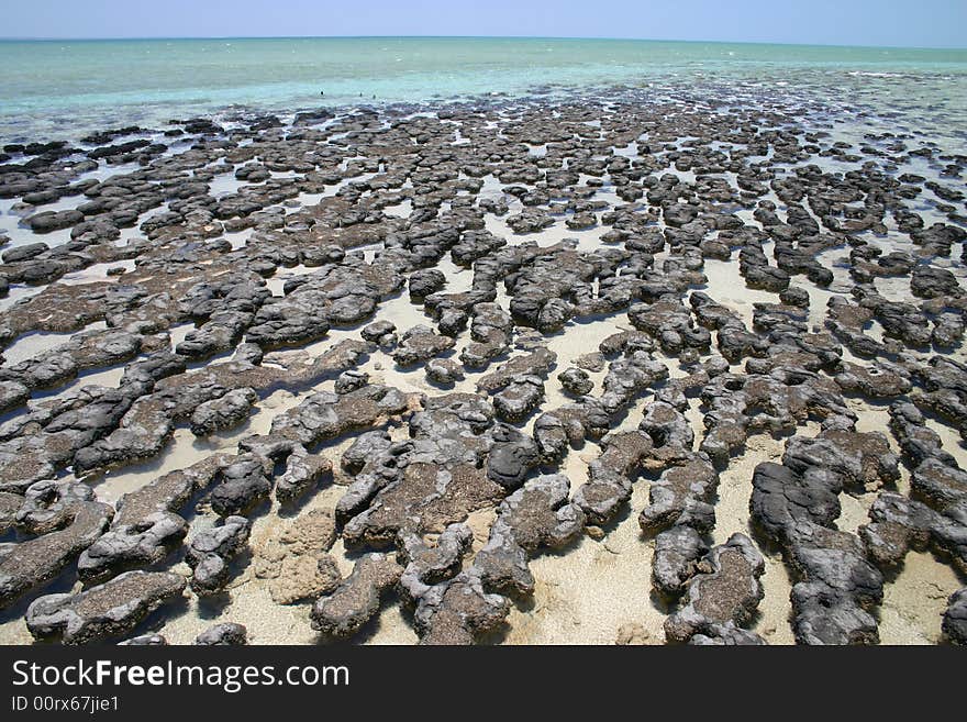 Australian cost reefs