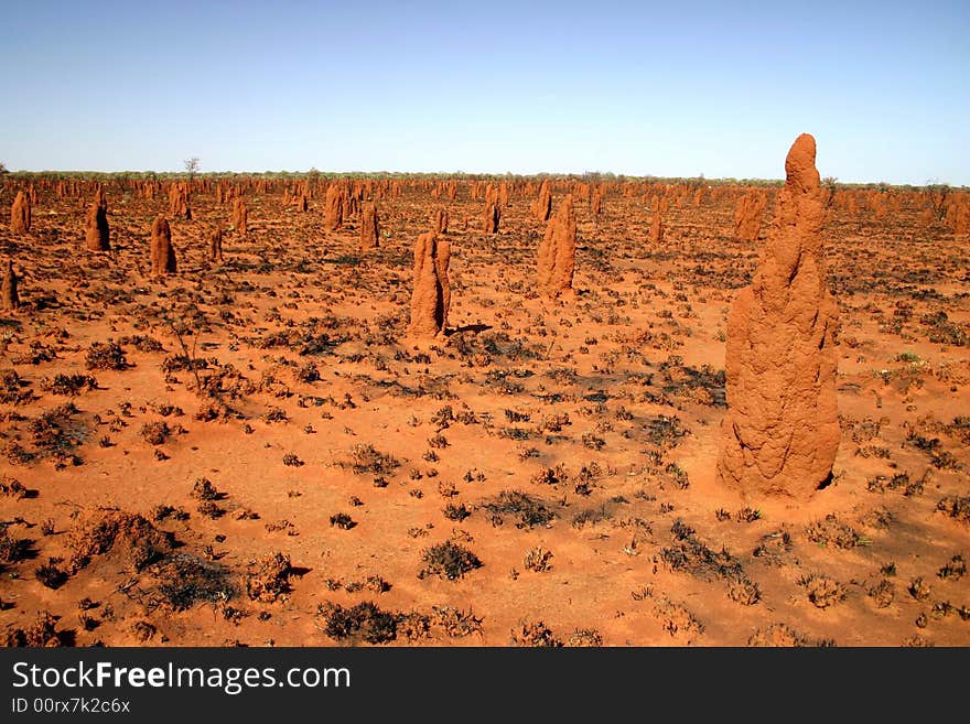 Land of termitesí nests on Tanami road. Australia. Land of termitesí nests on Tanami road. Australia