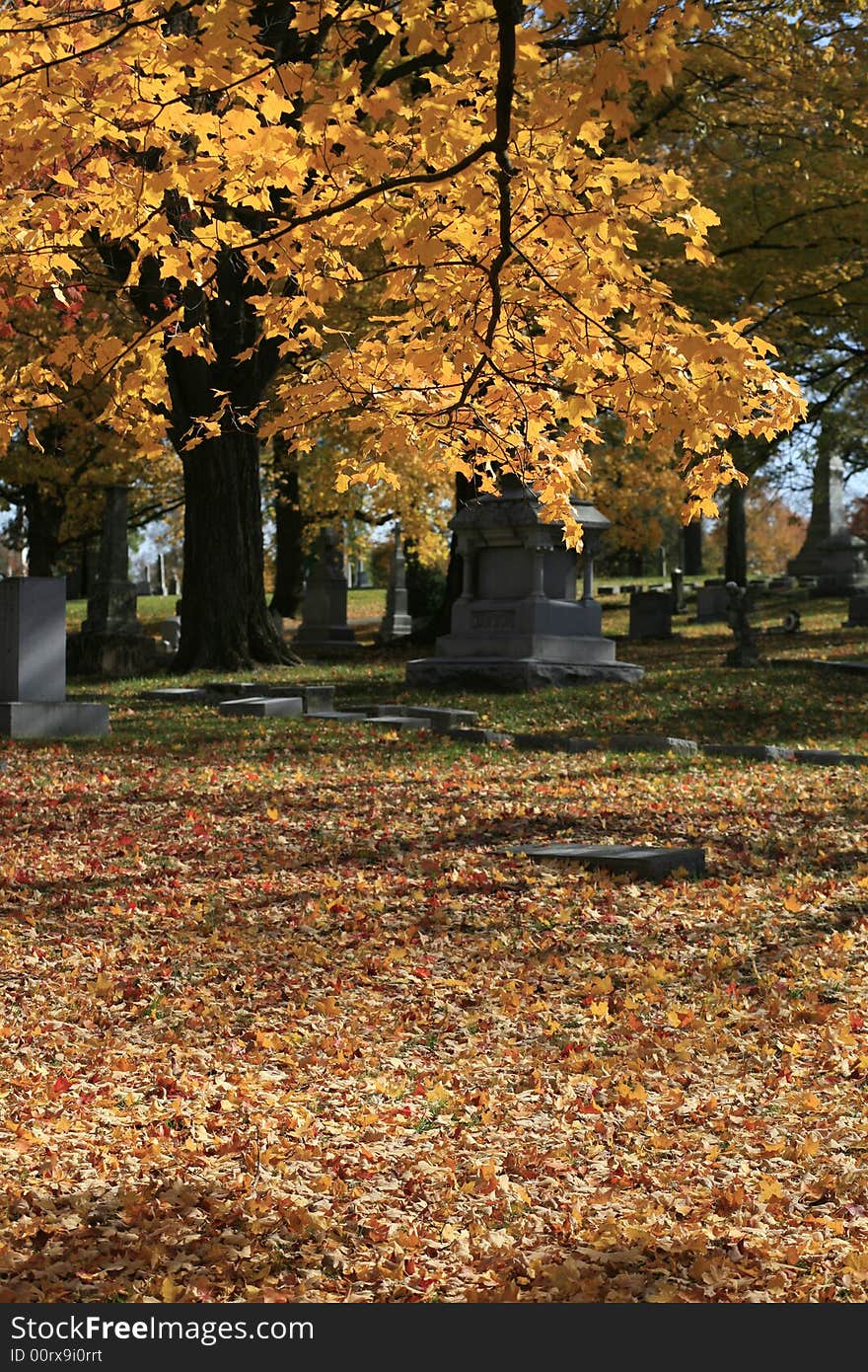 A local Nashville Cemetery in Mid Autumn. A local Nashville Cemetery in Mid Autumn