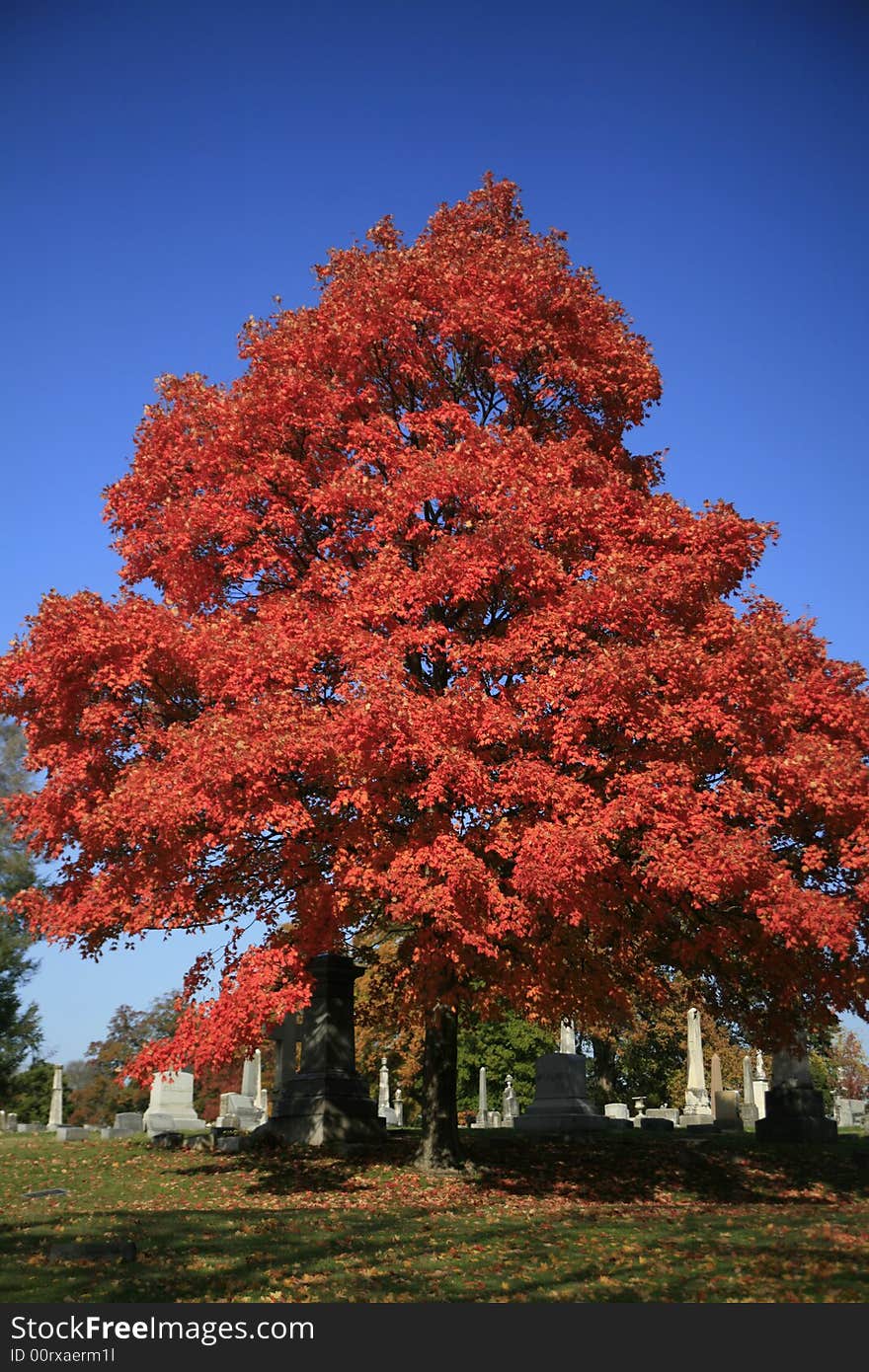 A local Nashville Cemetery in Mid Autumn. A local Nashville Cemetery in Mid Autumn