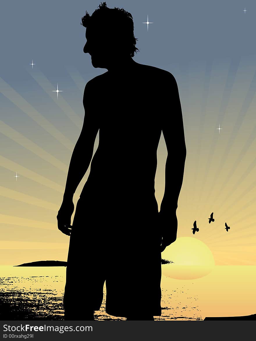 Summer sunset silhouette vector illustration