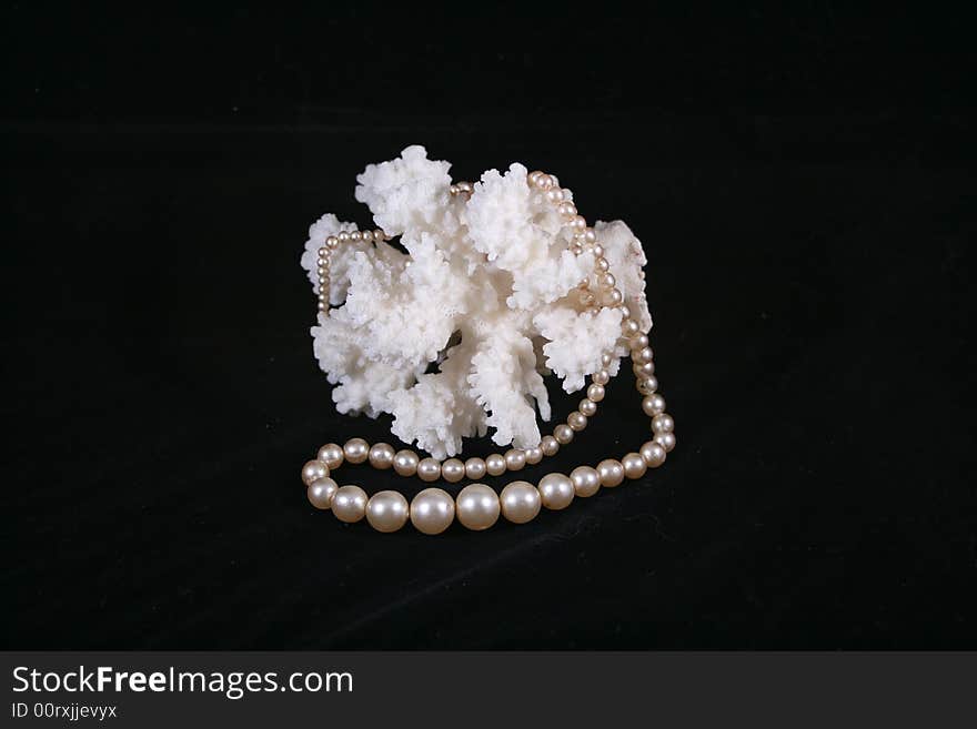 White pearl necklace and white coral on the black background. White pearl necklace and white coral on the black background