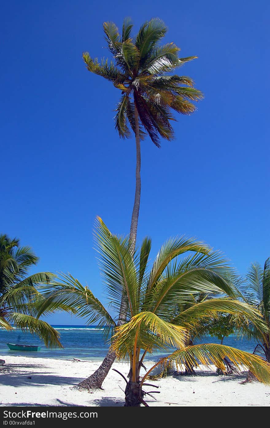 A tropical beach with palm move by the wind , white sand and blue sky. A tropical beach with palm move by the wind , white sand and blue sky