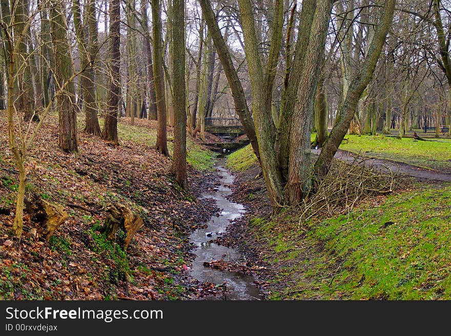 Autumn stream in the park