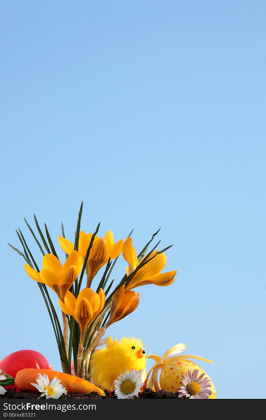 Easter eggs and crocus.