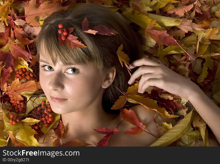 Portrait of a beautiful young girl in autumn leaves. Portrait of a beautiful young girl in autumn leaves