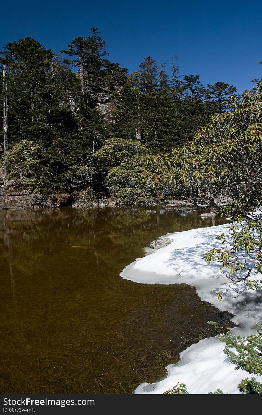 Lake in the winter