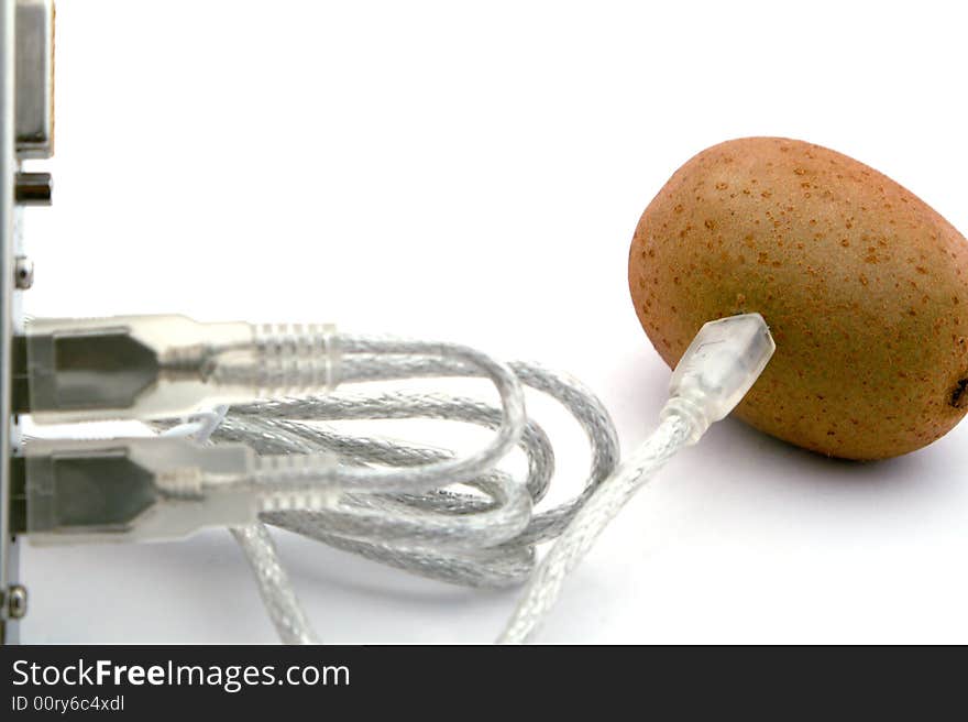 The kiwifruit connected through cable