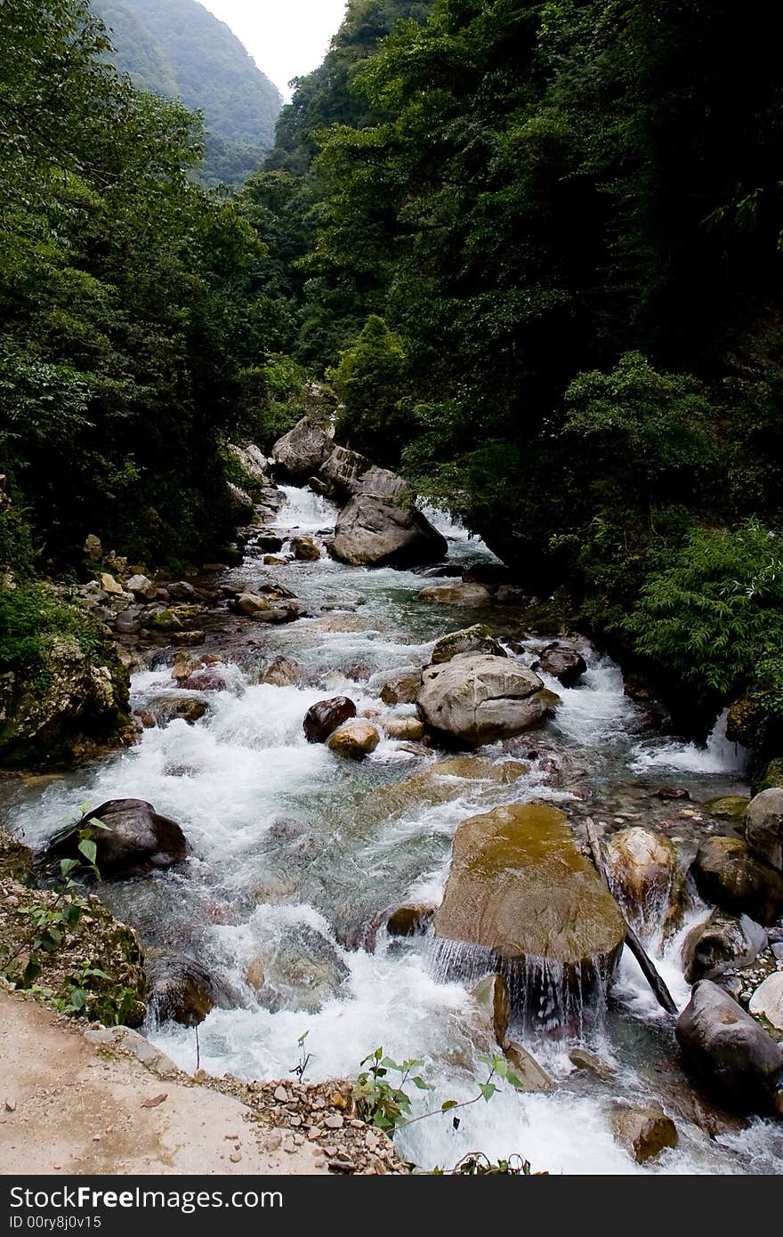 A stream falls from forest