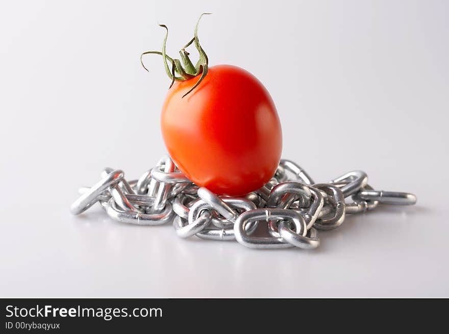 Red tomato with a chain on a white background. Red tomato with a chain on a white background