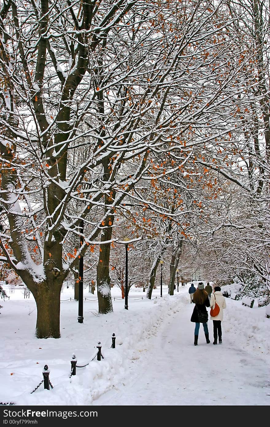 Stock image of a snowing winter at Boston, Massachusetts, USA. Stock image of a snowing winter at Boston, Massachusetts, USA