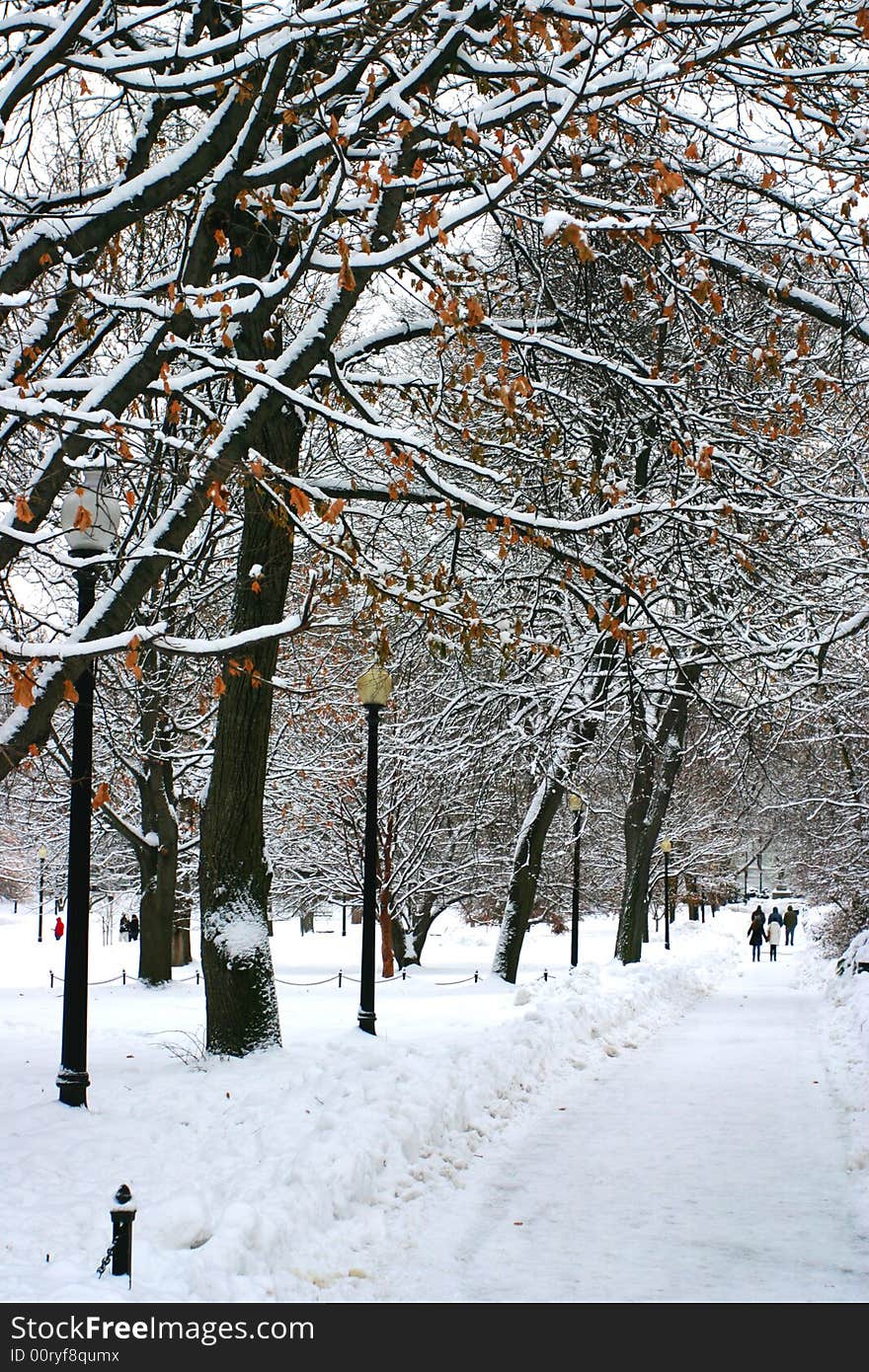 Stock image of a snowing winter at Boston, Massachusetts, USA. Stock image of a snowing winter at Boston, Massachusetts, USA