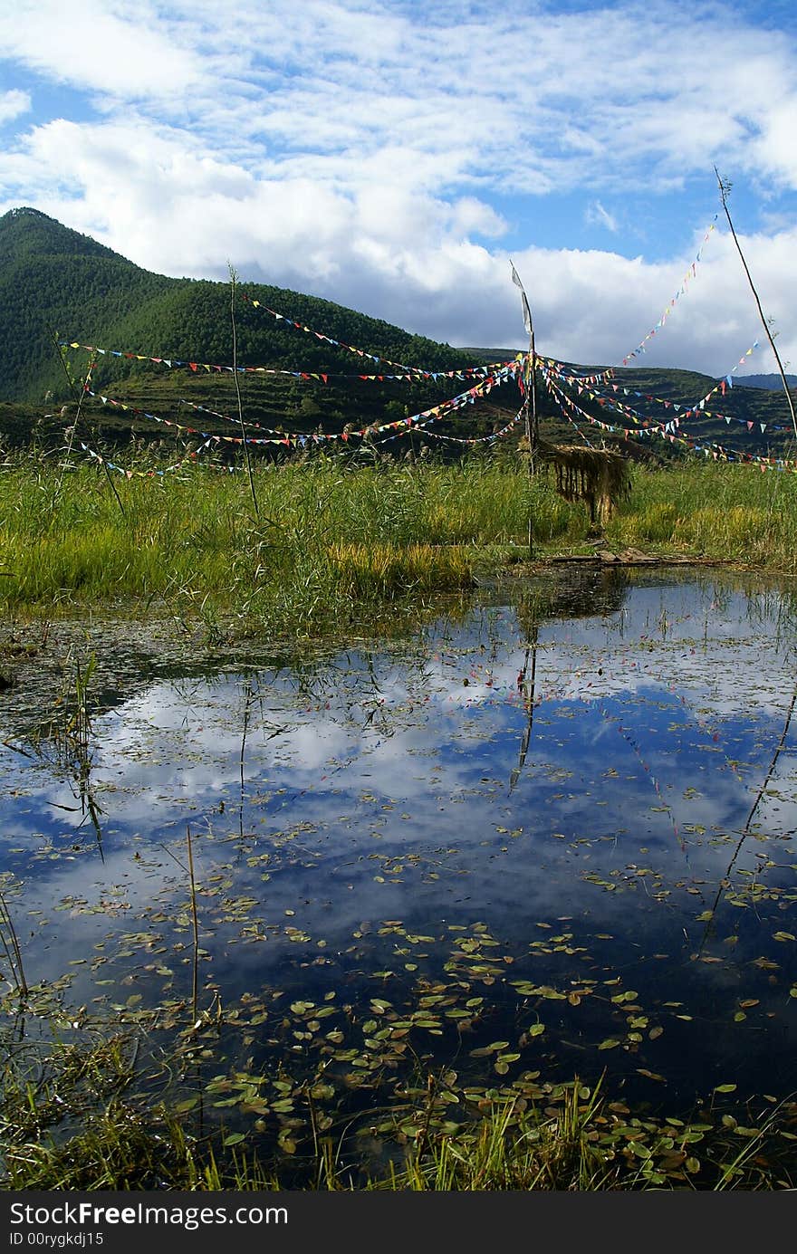 Buddha banners in Lugu lake marsh